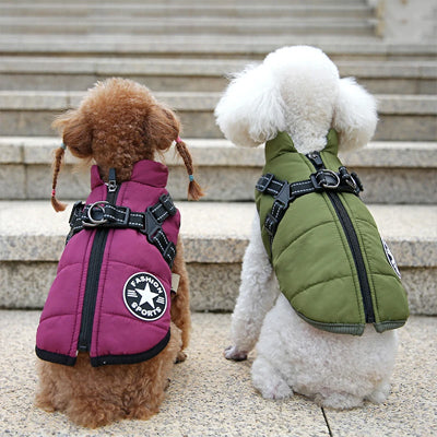 manteau chien impermeable harnais integre vert armee caniche bichon frise