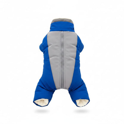 manteau chien impermeable reflechissant bleu dos fond blanc