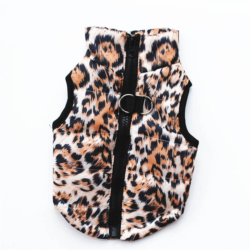 manteau chien leopard fond blanc