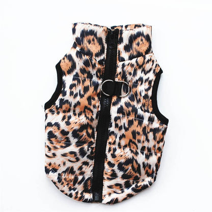 manteau chien leopard fond blanc