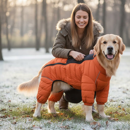 manteau pour chien 4 pattes orange golden retriever maitresse neige