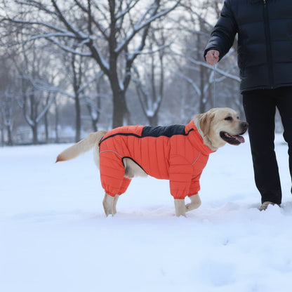 manteau pour chien 4 pattes orange labrador laisse neige hiver