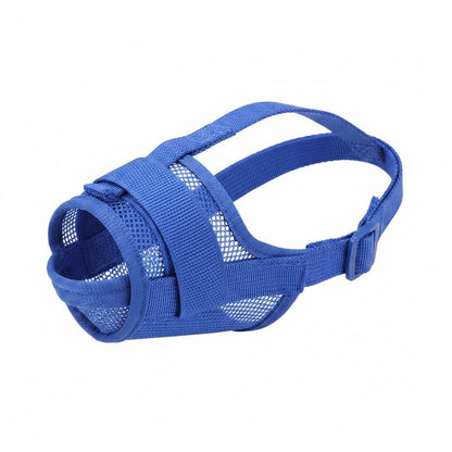 museliere chien filet nylon bleue fond blanc