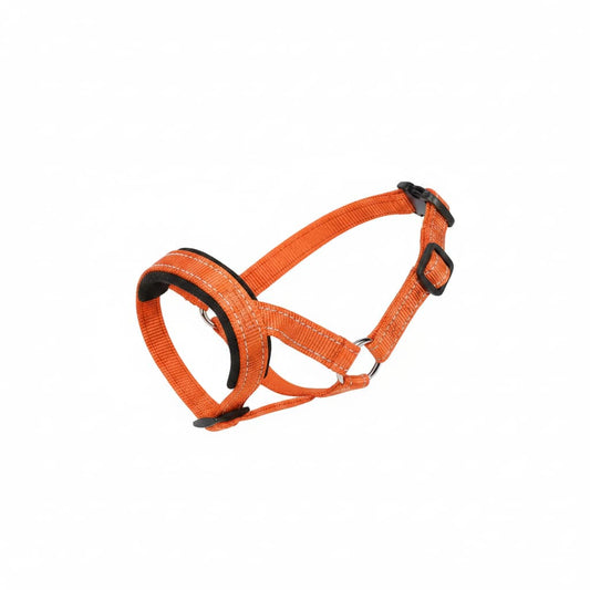 museliere chien licou orange fond blanc
