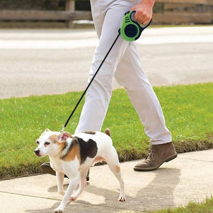 petit chien tenu laisse pour chien enrouleur