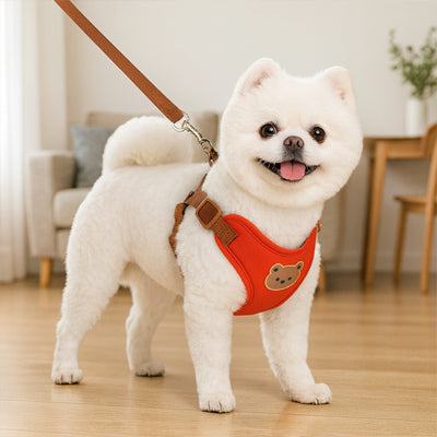 spitz avec harnais pour petit chien rouge