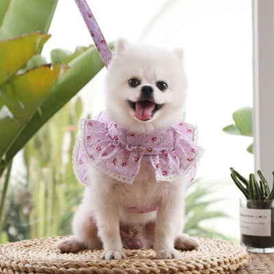 spitz nain portant harnais petit chien floral lilas