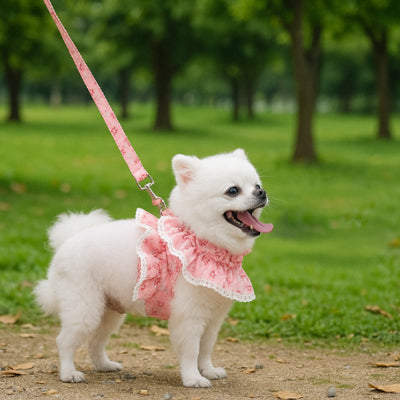 spitz nain portant harnais petit chien floral rose