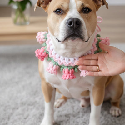 staffie assis en intérieur portant un collier pour chien crochet fleurs roses