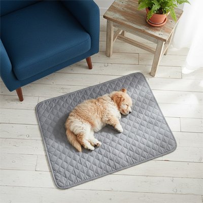 Tapis pour Chien 